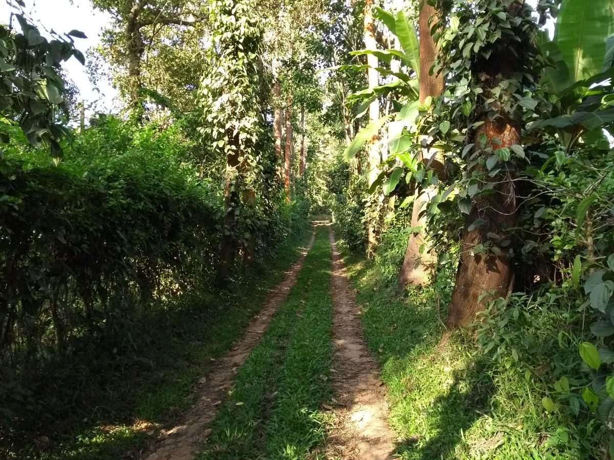 Coorg 4 C'S Little Paradise Madikeri Exterior photo