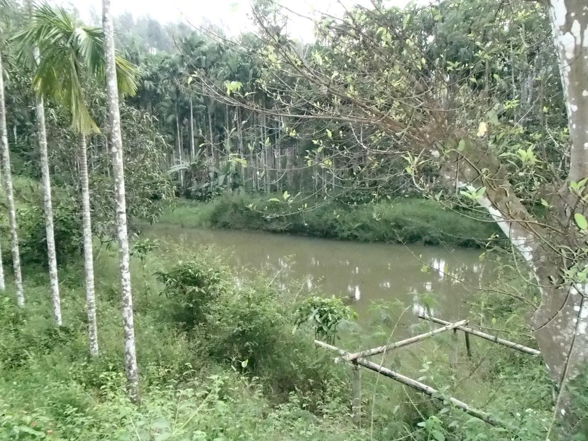 Coorg 4 C'S Little Paradise Madikeri Exterior photo